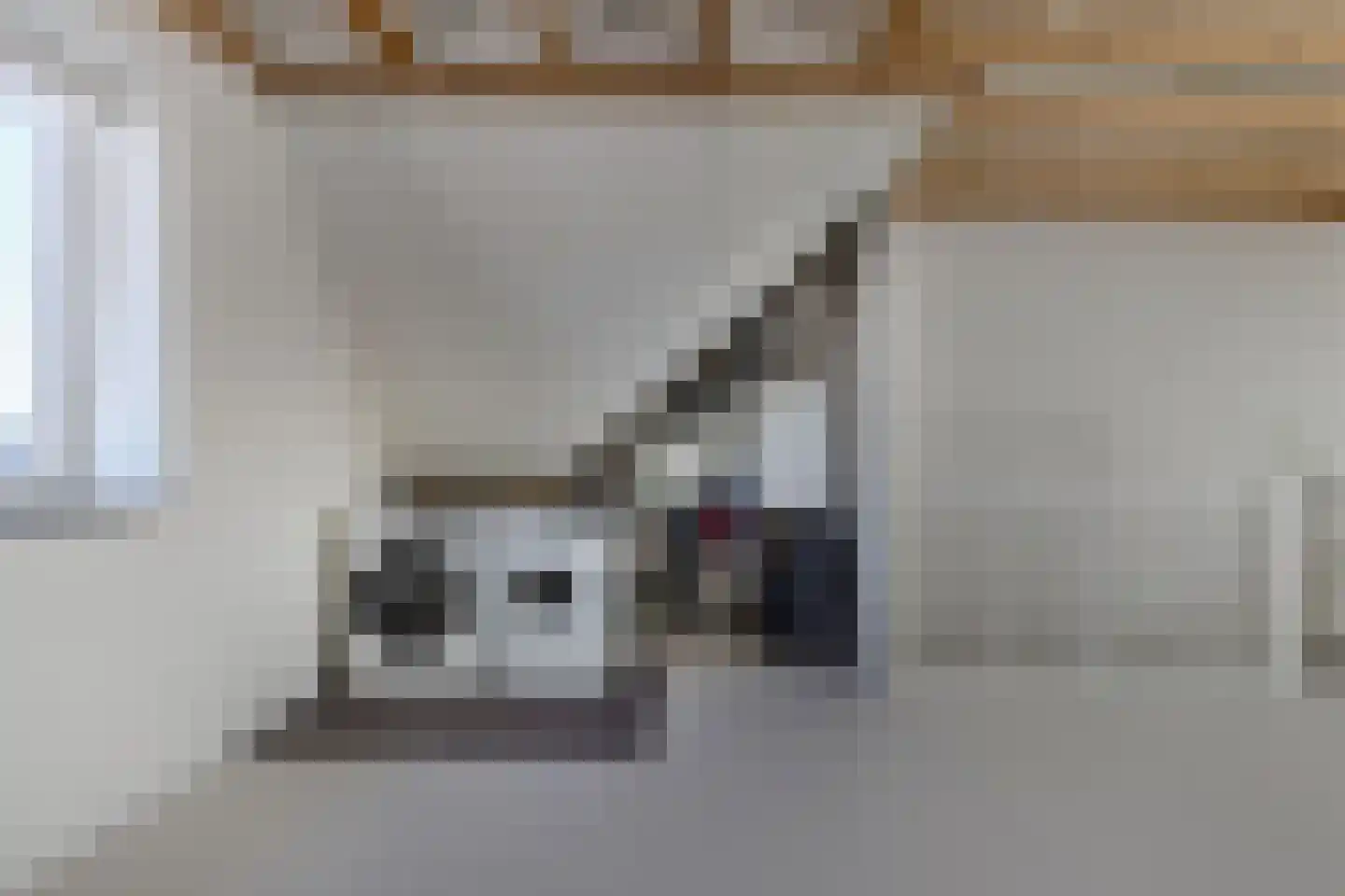 Gentiaan 24 Marknesse thumbnail 32