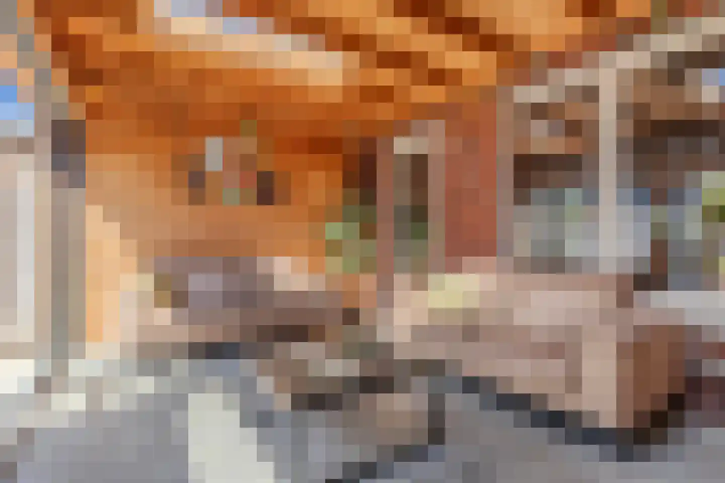 Gentiaan 24 Marknesse thumbnail 34