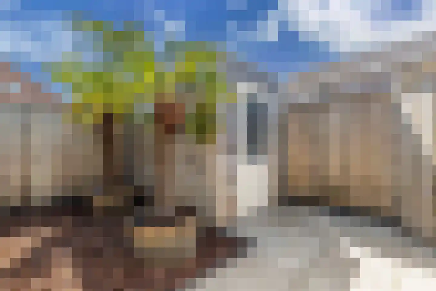 Gentiaan 24 Marknesse thumbnail 35