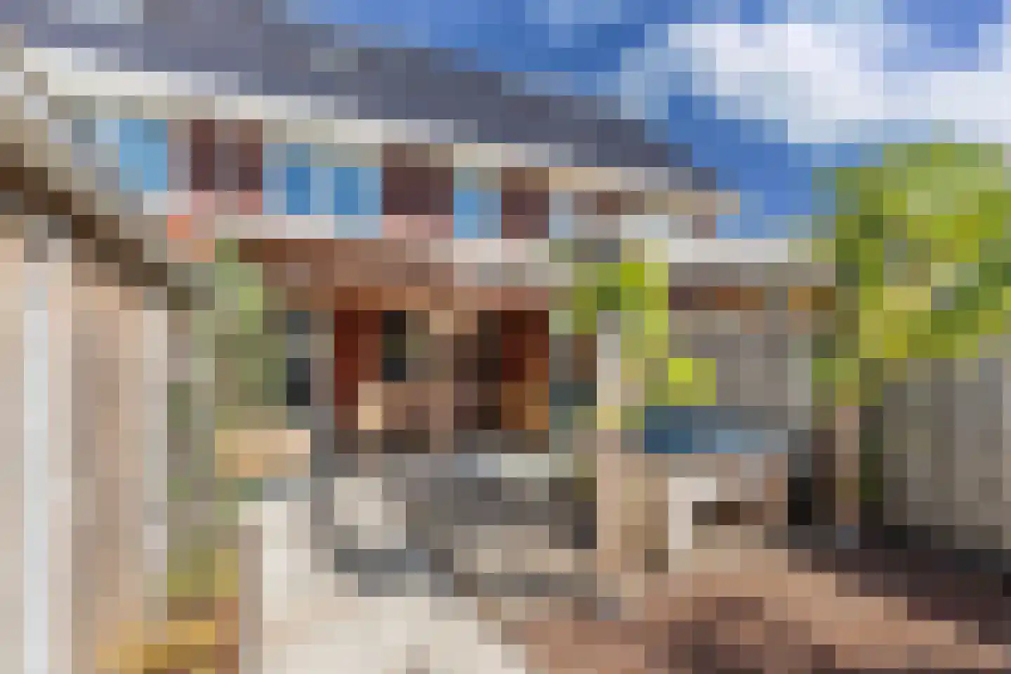 Gentiaan 24 Marknesse thumbnail 36