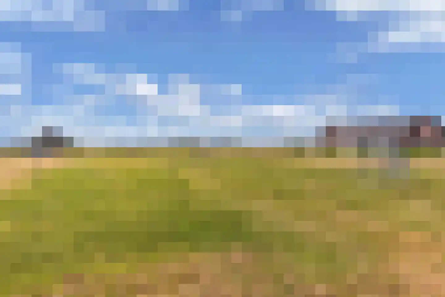 Gentiaan 24 Marknesse thumbnail 38