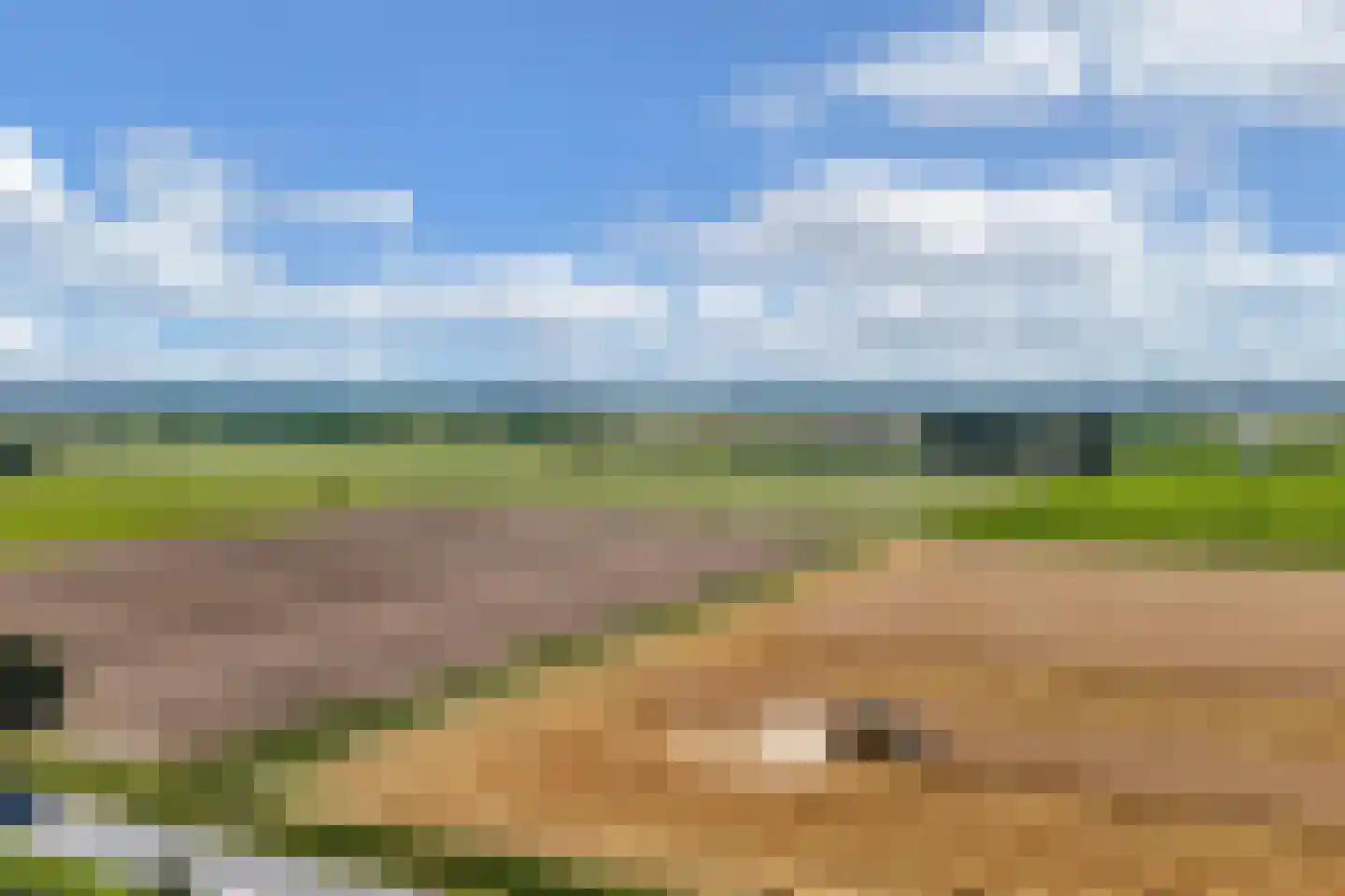 Gentiaan 24 Marknesse thumbnail 39