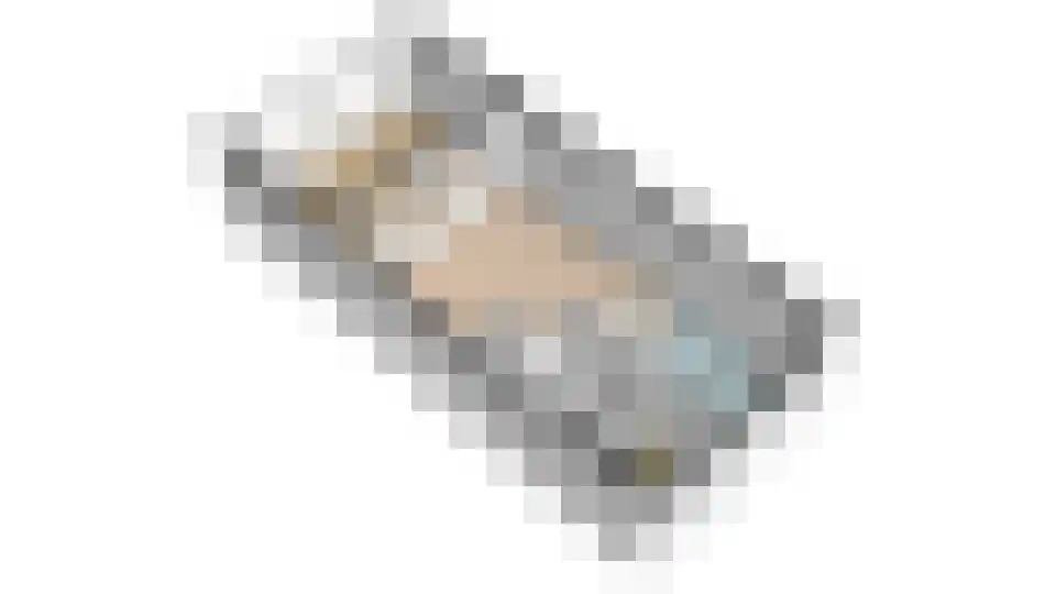 Gentiaan 24 Marknesse thumbnail 41
