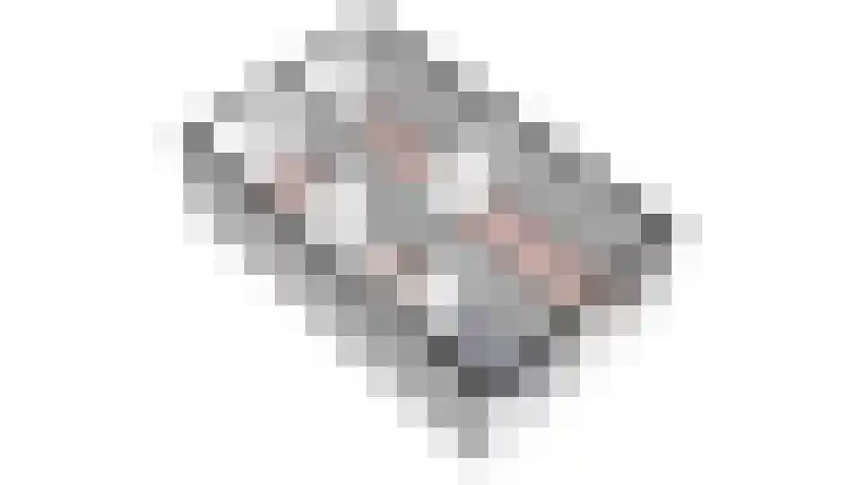 Gentiaan 24 Marknesse thumbnail 43