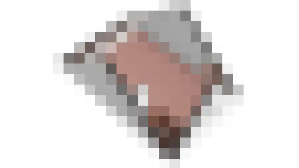 Gentiaan 24 Marknesse thumbnail 45