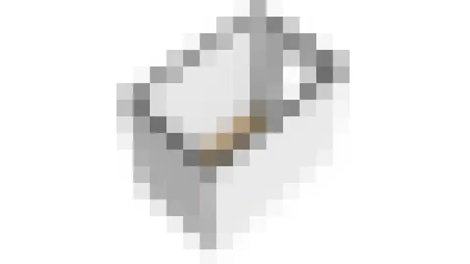 Gentiaan 24 Marknesse thumbnail 47