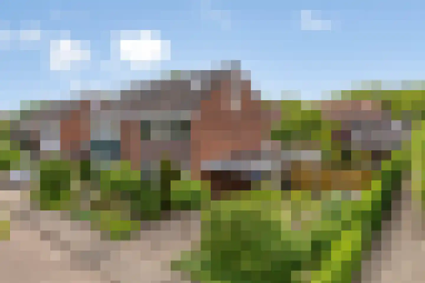 Gentiaan 31 in Borne
