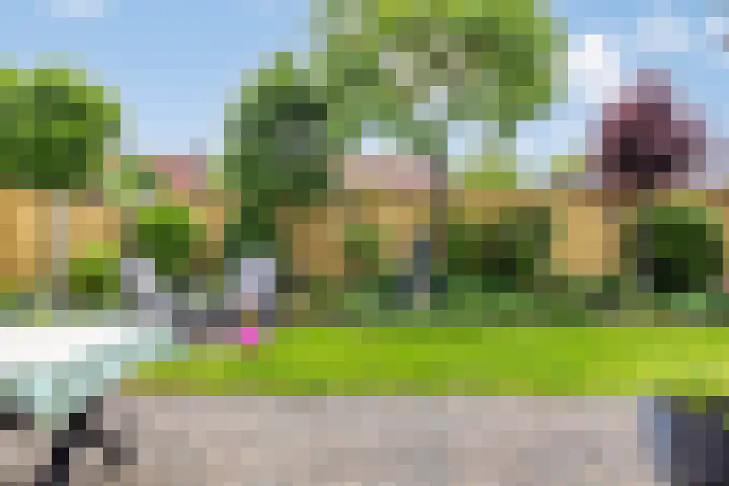 Gentiaan 31 Borne thumbnail 17