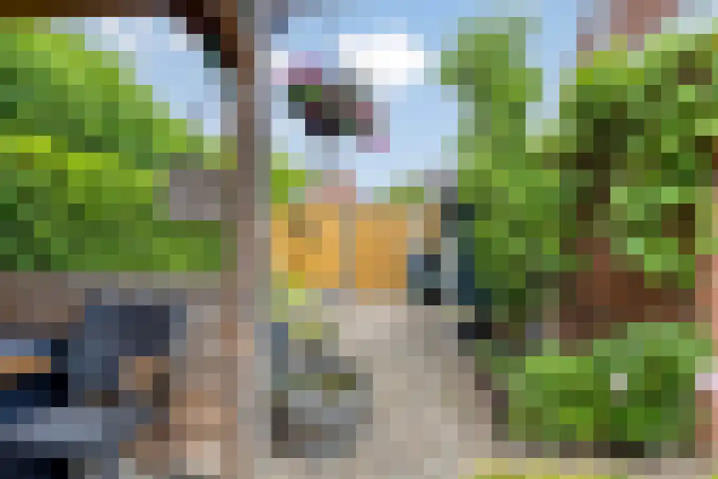 Gentiaan 31 Borne thumbnail 19