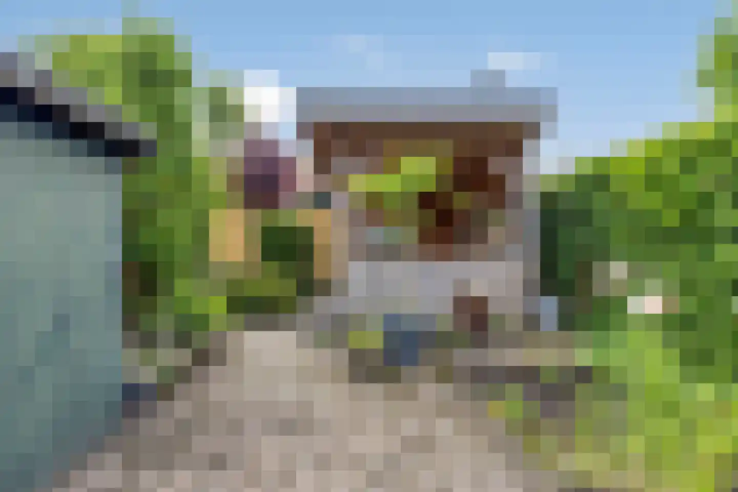 Gentiaan 31 Borne thumbnail 21