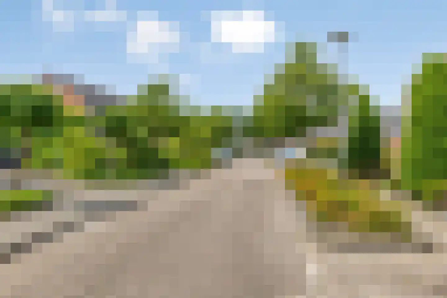 Gentiaan 31 Borne thumbnail 31
