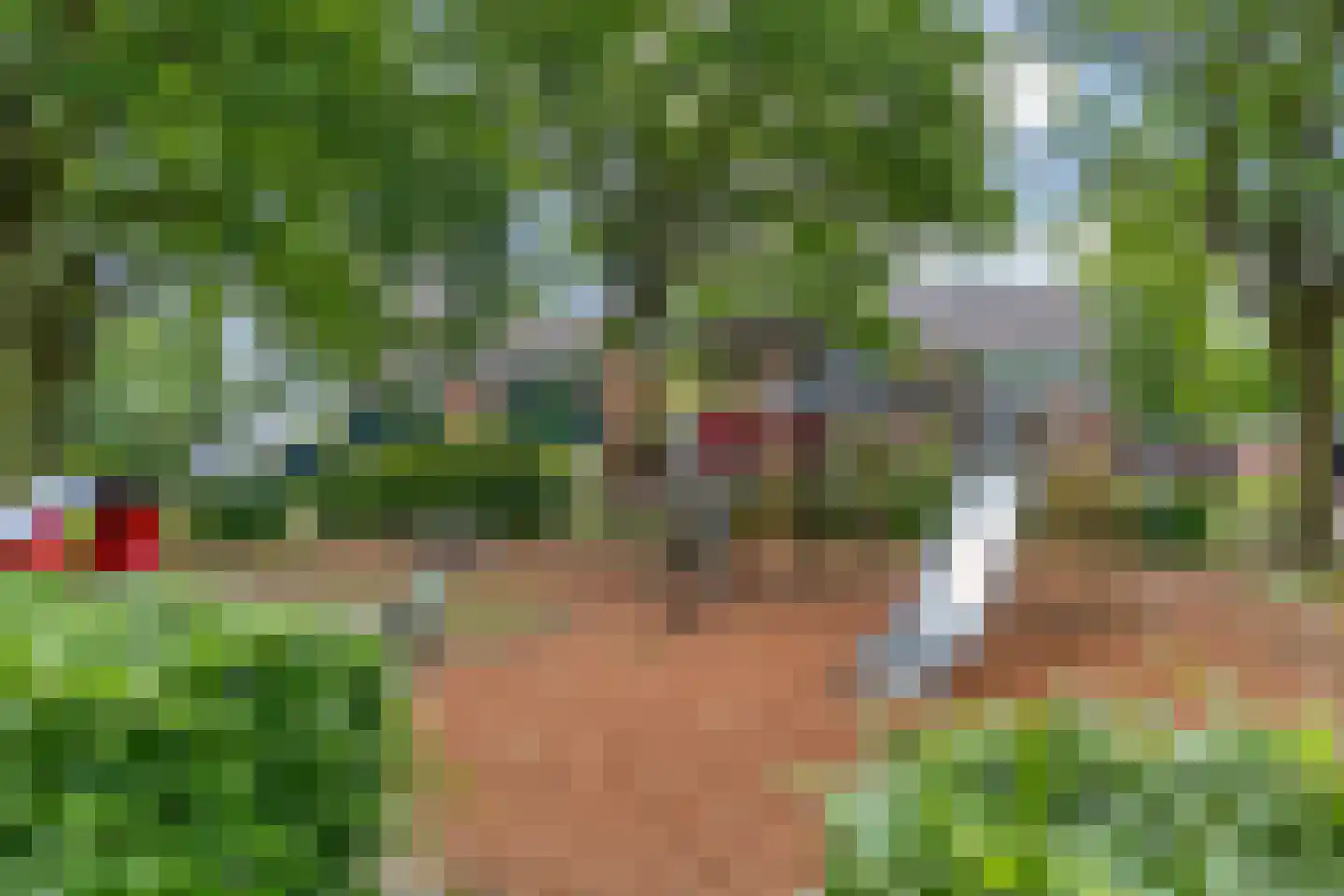 Gentiaan 31 Borne thumbnail 34