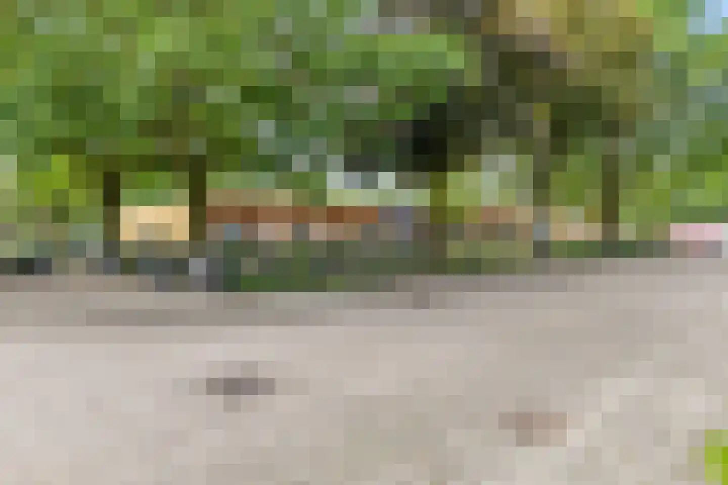 Gentiaan 31 Borne thumbnail 35