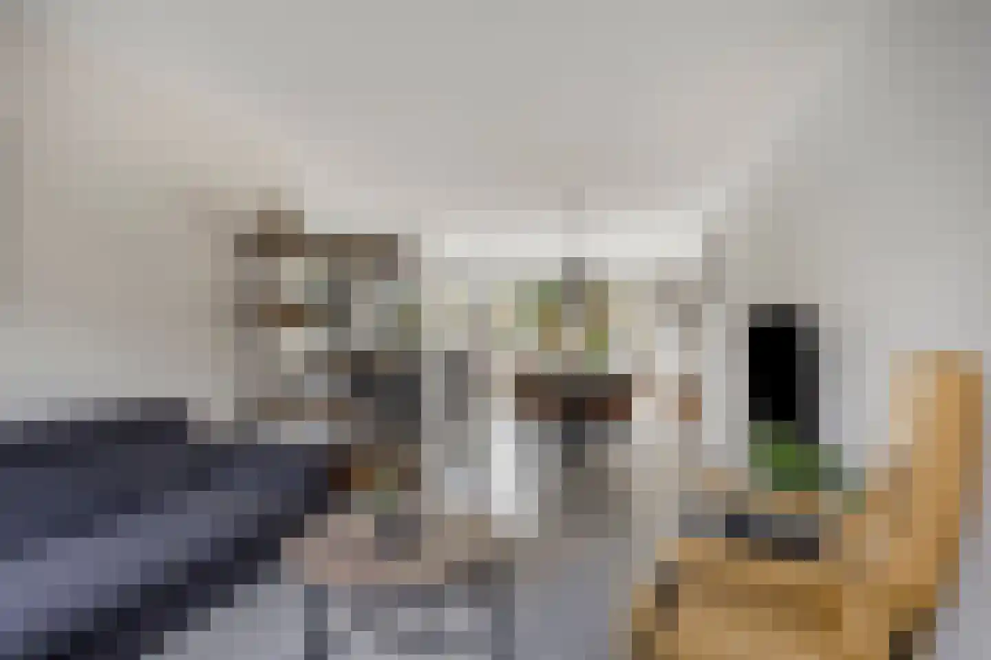 Gentiaan 31 Borne thumbnail 4
