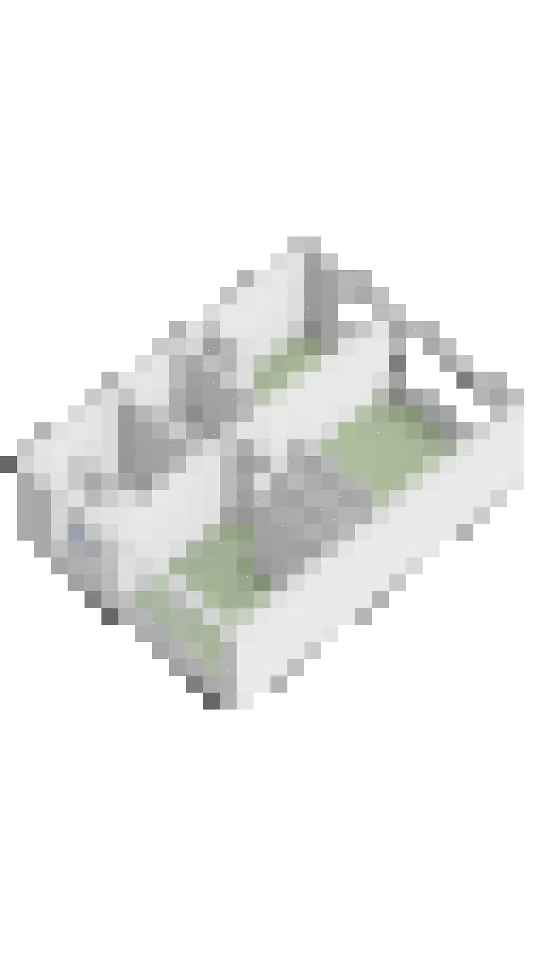Gentiaan 31 Borne thumbnail 45
