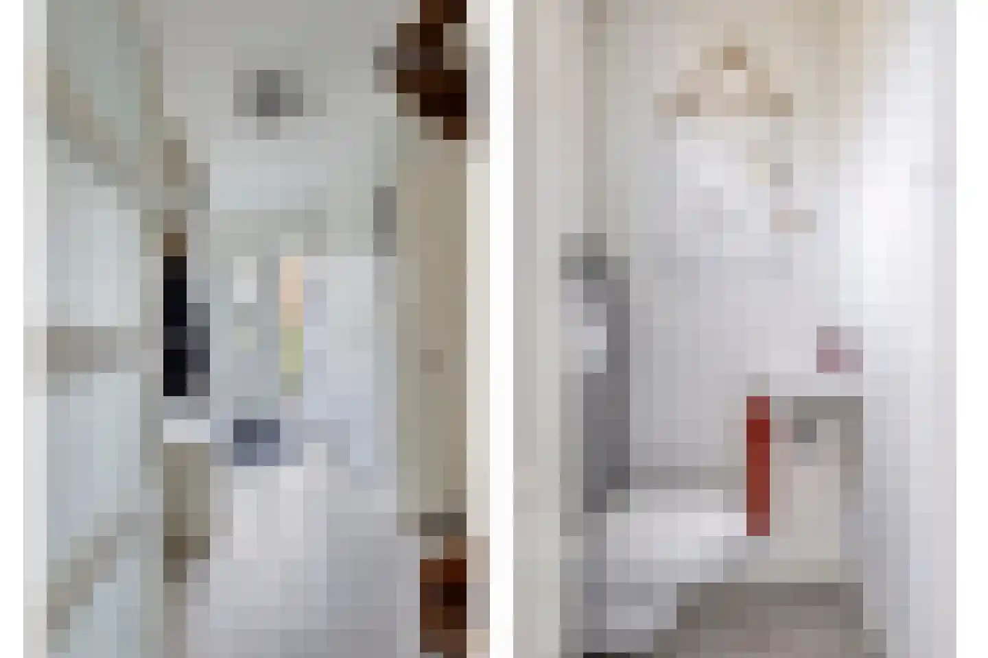Gentiaan 31 Borne thumbnail 7