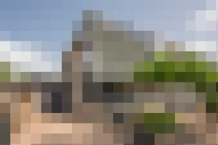 Gentiaan 35 Nijkerk