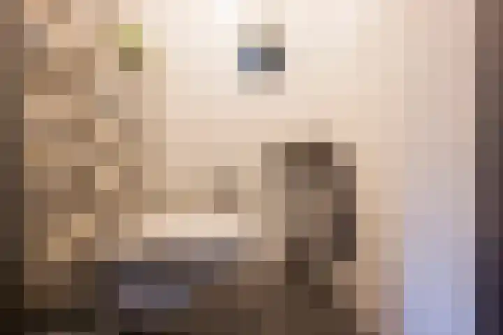 Gentiaan 35 Nijkerk thumbnail 11