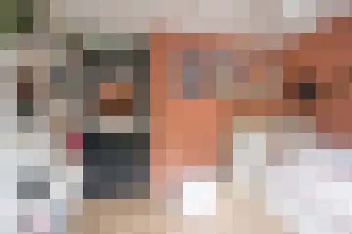 Gentiaan 35 Nijkerk thumbnail 13