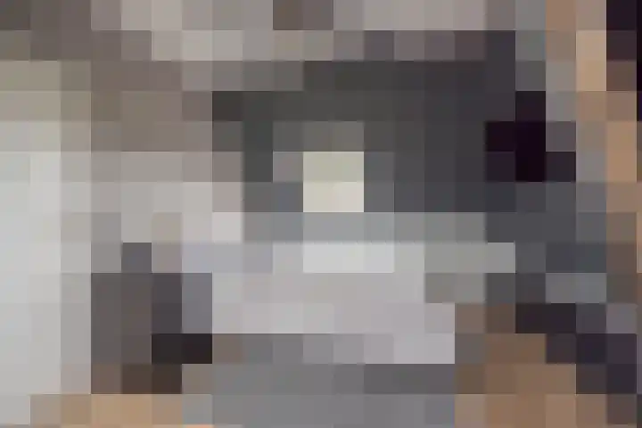 Gentiaan 35 Nijkerk thumbnail 19