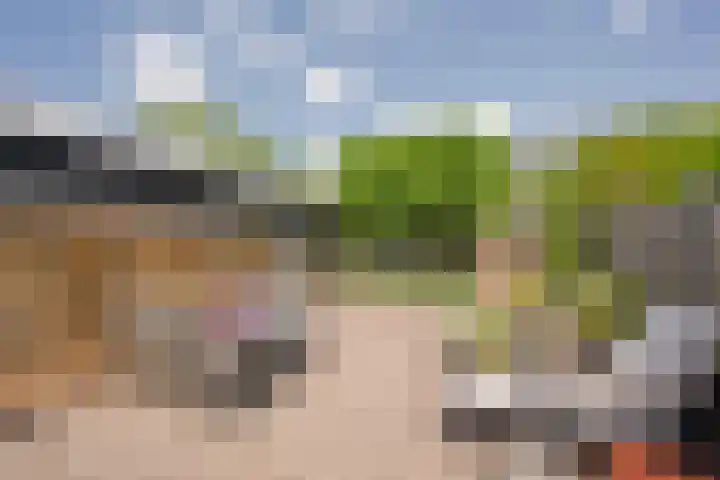 Gentiaan 35 Nijkerk thumbnail 22