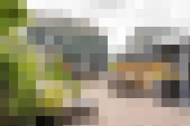 Gentiaan 35 Nijkerk thumbnail 24
