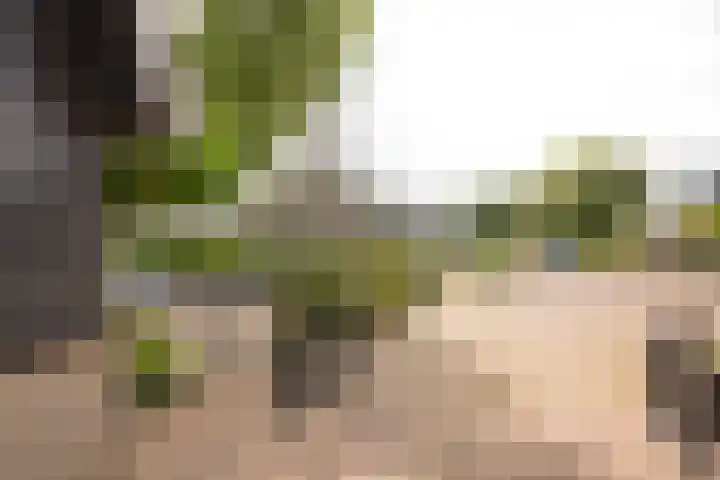 Gentiaan 35 Nijkerk thumbnail 26