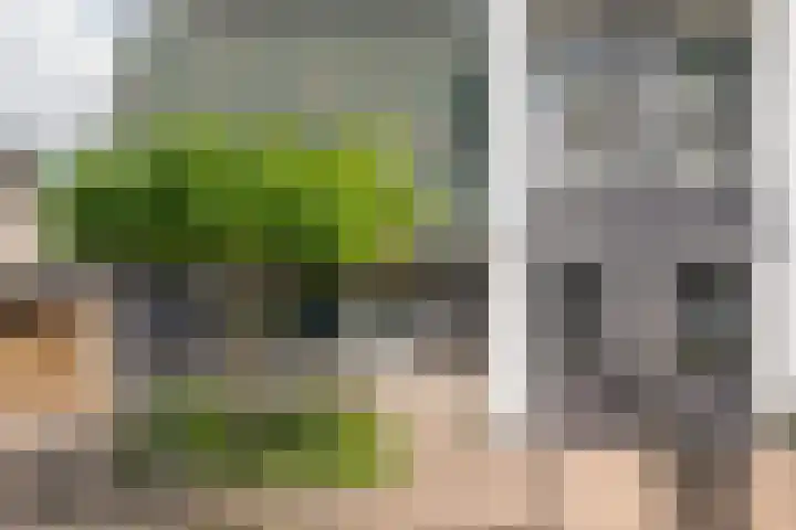 Gentiaan 35 Nijkerk thumbnail 27