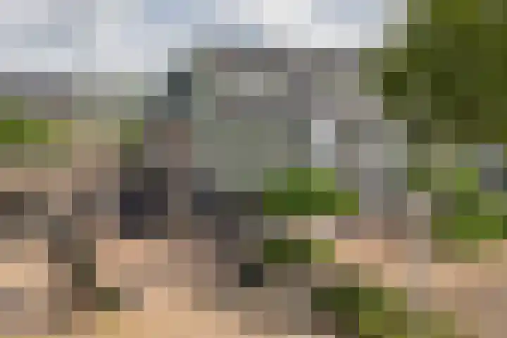 Gentiaan 35 Nijkerk thumbnail 28