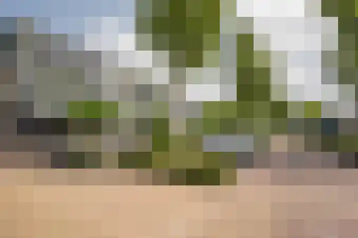 Gentiaan 35 Nijkerk thumbnail 30