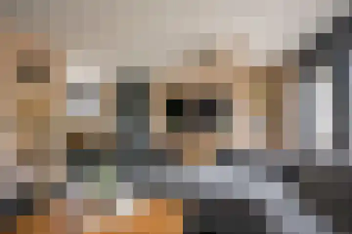 Gentiaan 35 Nijkerk thumbnail 4