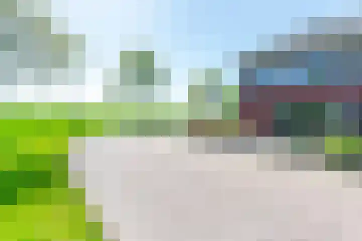 Gentiaan 39 Wijnjewoude thumbnail 11