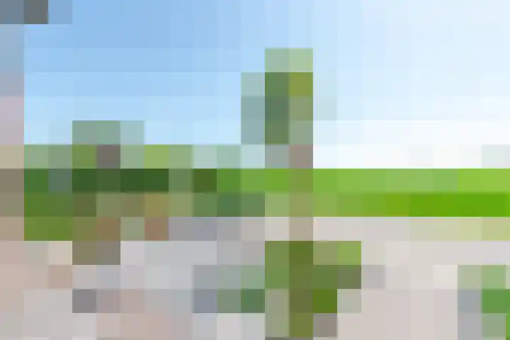 Gentiaan 39 Wijnjewoude thumbnail 12