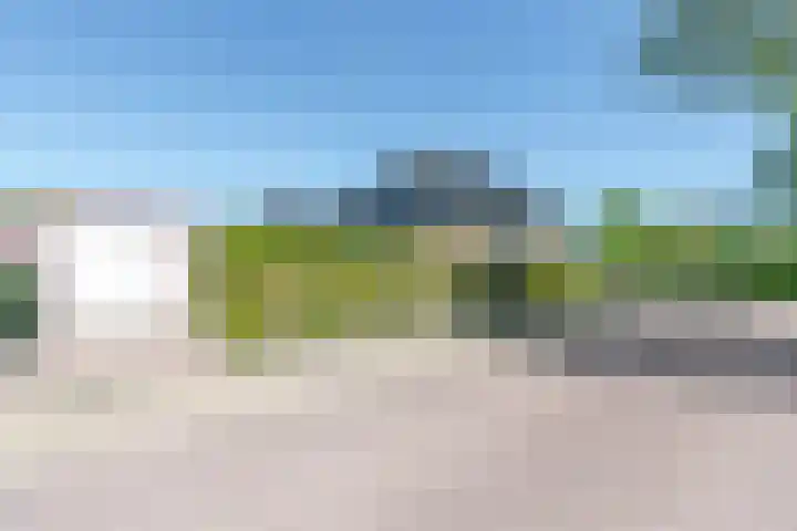Gentiaan 39 Wijnjewoude thumbnail 14