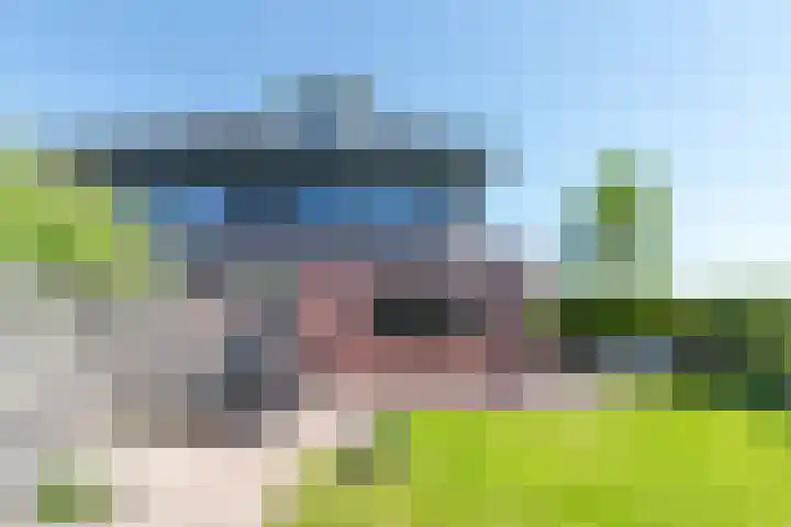 Gentiaan 39 Wijnjewoude thumbnail 17