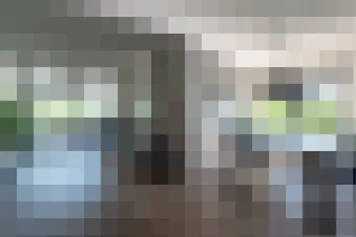 Gentiaan 39 Wijnjewoude thumbnail 19