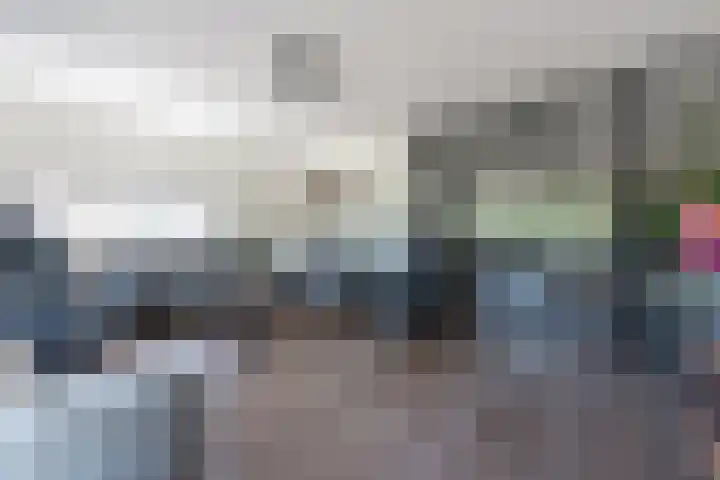 Gentiaan 39 Wijnjewoude thumbnail 21