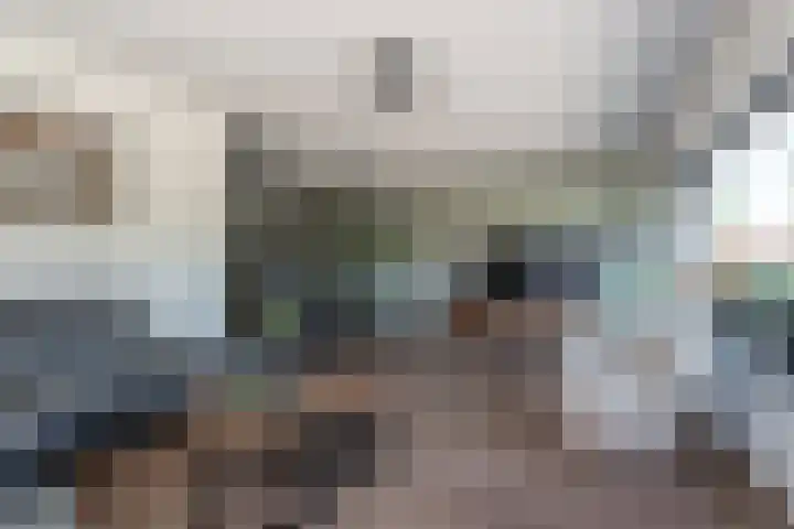 Gentiaan 39 Wijnjewoude thumbnail 22