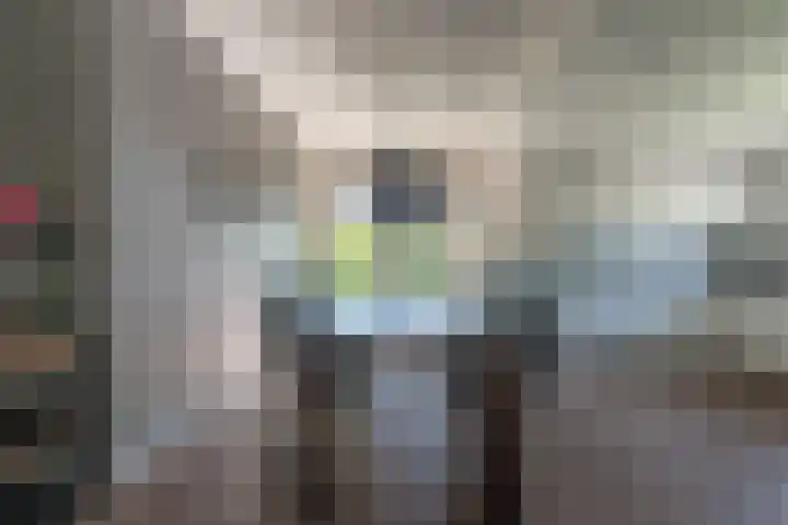 Gentiaan 39 Wijnjewoude thumbnail 23