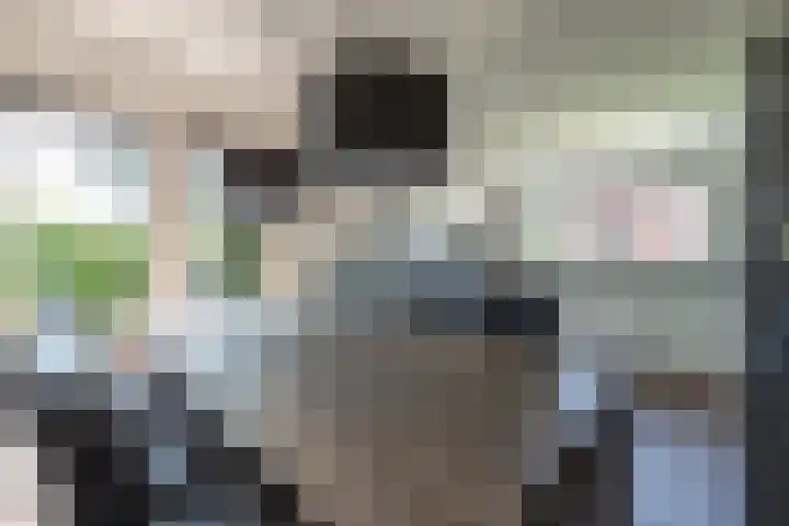 Gentiaan 39 Wijnjewoude thumbnail 24