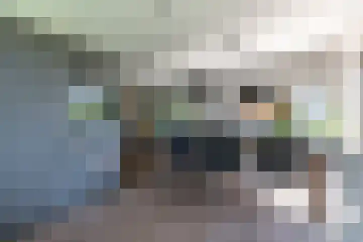 Gentiaan 39 Wijnjewoude thumbnail 26