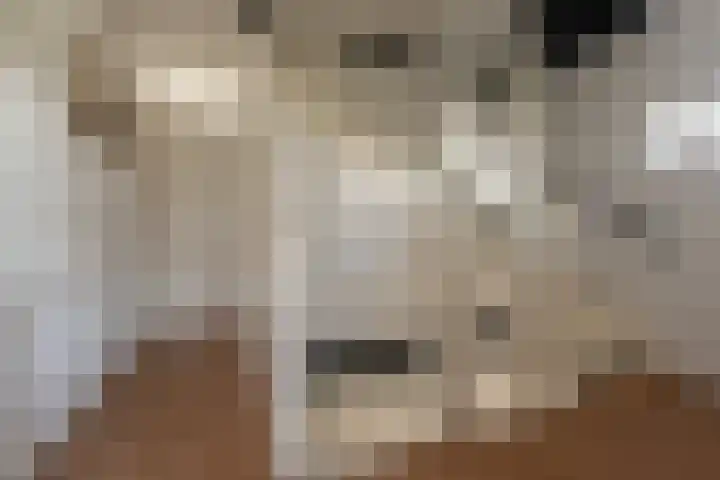 Gentiaan 39 Wijnjewoude thumbnail 28