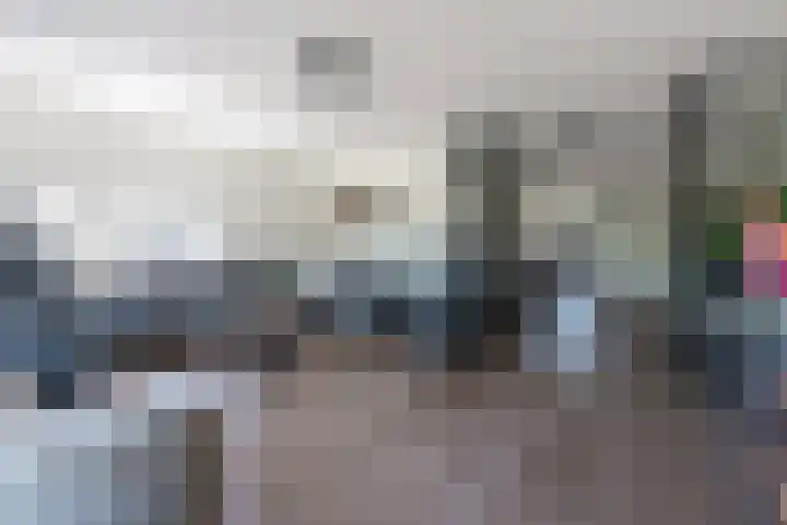 Gentiaan 39 Wijnjewoude foto 3