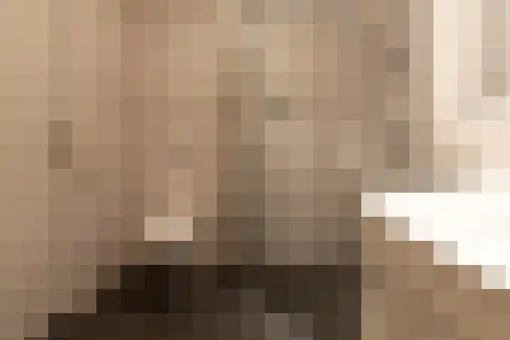Gentiaan 39 Wijnjewoude thumbnail 33