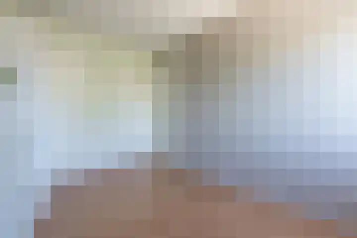 Gentiaan 39 Wijnjewoude thumbnail 35