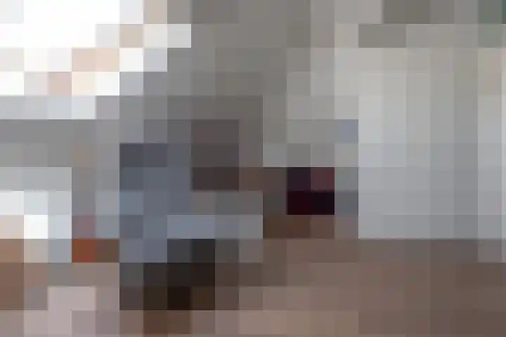 Gentiaan 39 Wijnjewoude thumbnail 39