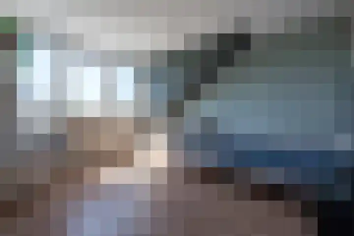 Gentiaan 39 Wijnjewoude thumbnail 41