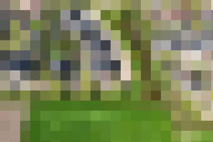 Gentiaan 39 Wijnjewoude thumbnail 9