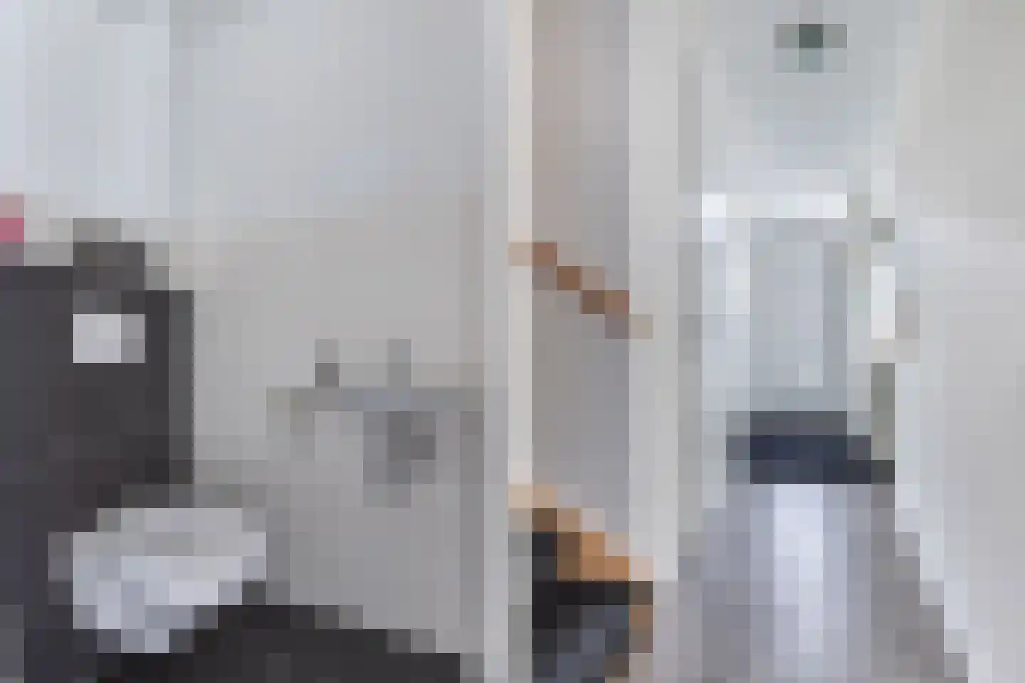 Gentiaan 4 Marknesse thumbnail 11
