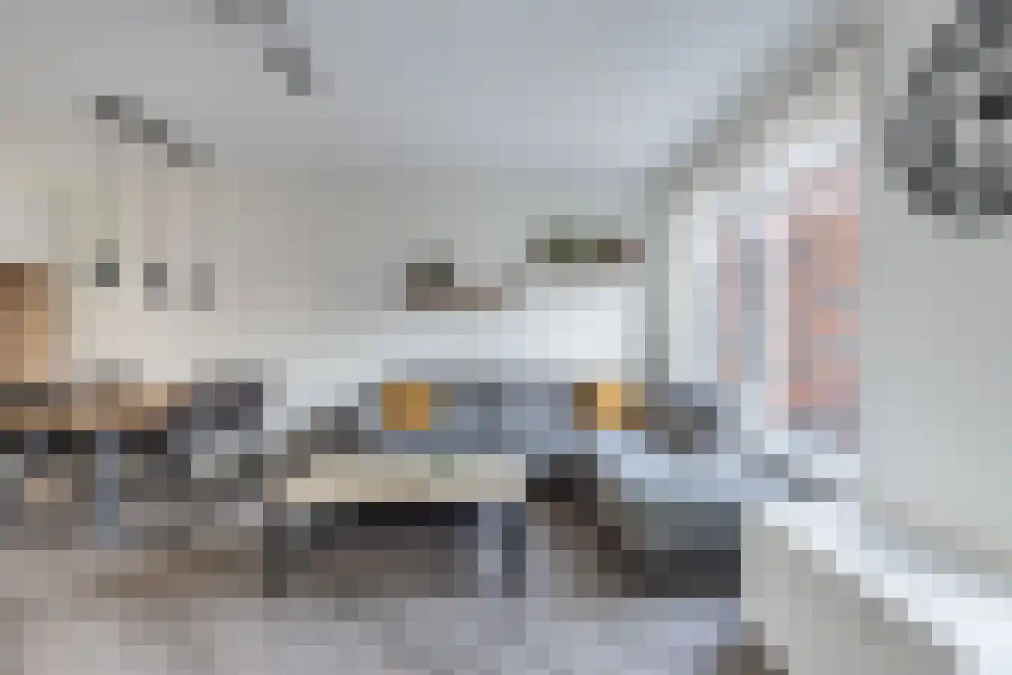 Gentiaan 4 Marknesse thumbnail 13